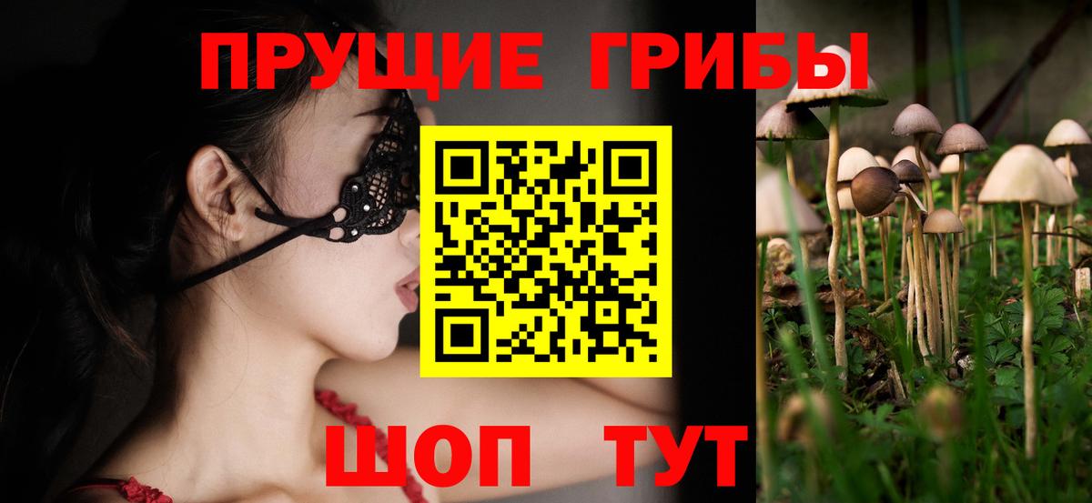 Галлюциногенные грибы Psilocybine cubensis  Вход с VPN  Балашов 