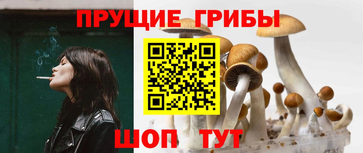 Галлюциногенные грибы ЛСД Балашов